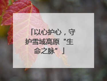 以心护心，守护雪域高原“生命之脉”