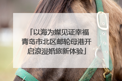 以海为媒见证幸福 青岛市北区邮轮母港开启浪漫婚旅新体验