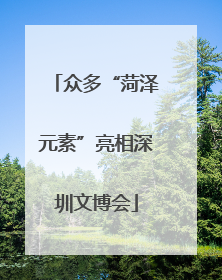 众多“菏泽元素”亮相深圳文博会