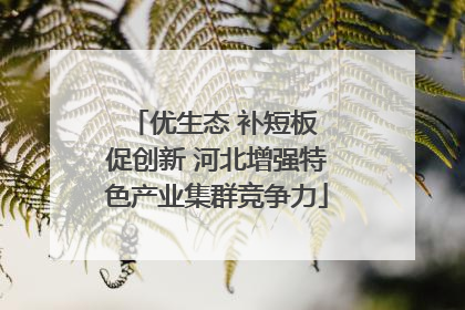 优生态 补短板 促创新 河北增强特色产业集群竞争力