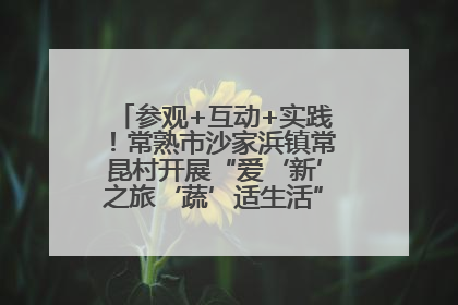 参观+互动+实践！常熟市沙家浜镇常昆村开展“爱‘新’之旅‘蔬’适生活”参观学习活动