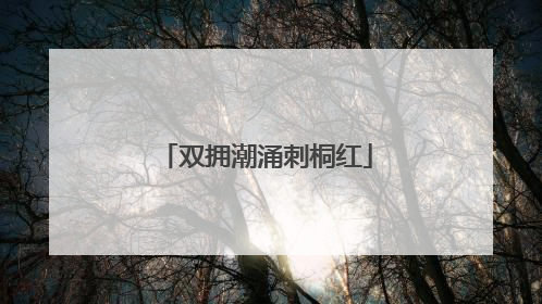双拥潮涌刺桐红
