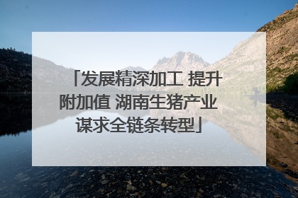 发展精深加工 提升附加值 湖南生猪产业谋求全链条转型