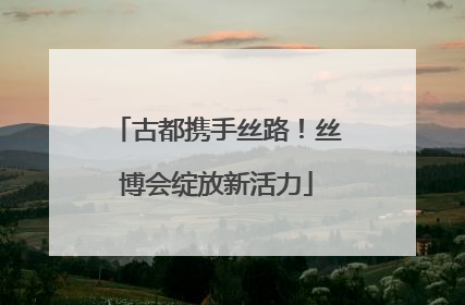 古都携手丝路！丝博会绽放新活力