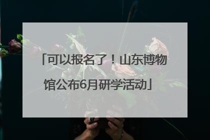 可以报名了！山东博物馆公布6月研学活动
