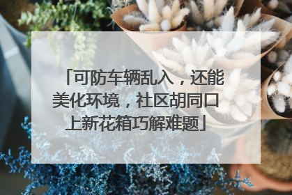 可防车辆乱入，还能美化环境，社区胡同口上新花箱巧解难题