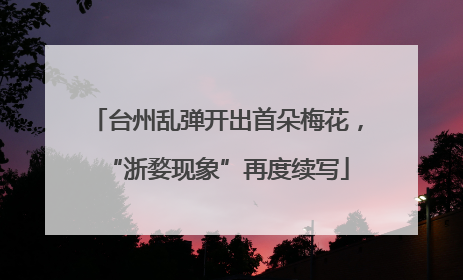 台州乱弹开出首朵梅花，“浙婺现象”再度续写