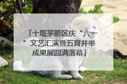 十堰茅箭区庆“六一”文艺汇演暨五育并举成果展圆满落幕