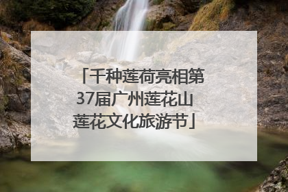 千种莲荷亮相第37届广州莲花山莲花文化旅游节