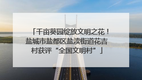 千亩葵园绽放文明之花！盐城市盐都区盐渎街道花吉村获评“全国文明村”