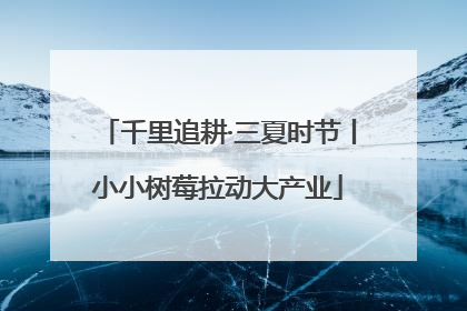 千里追耕·三夏时节丨小小树莓拉动大产业