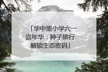 华中里小学六一嘉年华：种子旅行解锁生态密码