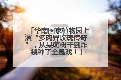 华南国家植物园上演“多肉界玫瑰传奇”，从呆萌树干到炸裂种子全是戏！