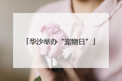 华沙举办“宠物日”