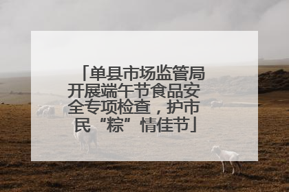 单县市场监管局开展端午节食品安全专项检查，护市民“粽”情佳节