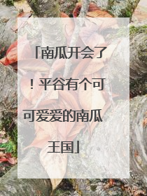 南瓜开会了！平谷有个可可爱爱的南瓜王国