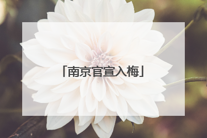南京官宣入梅