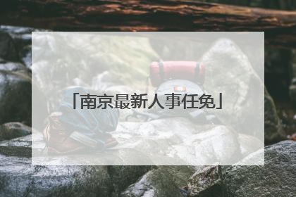 南京最新人事任免