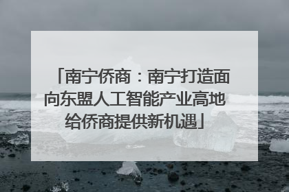 南宁侨商：南宁打造面向东盟人工智能产业高地给侨商提供新机遇