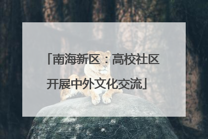 南海新区：高校社区开展中外文化交流