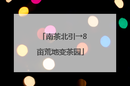 南茶北引→8亩荒地变茶园