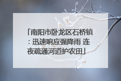 南阳市卧龙区石桥镇：迅速响应强降雨 连夜疏通河道护农田