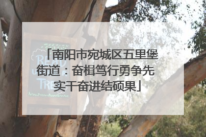 南阳市宛城区五里堡街道：奋楫笃行勇争先 实干奋进结硕果