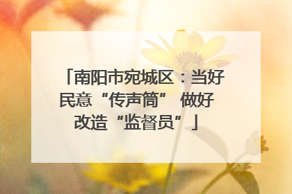 南阳市宛城区：当好民意“传声筒” 做好改造“监督员”