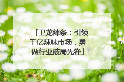 卫龙辣条：引领千亿辣味市场，勇做行业破局先锋