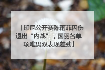 印尼公开赛陈雨菲因伤退出“内战”，国羽各单项唯男双表现差劲