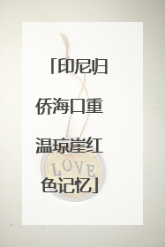 印尼归侨海口重温琼崖红色记忆