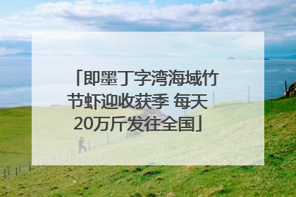 即墨丁字湾海域竹节虾迎收获季 每天20万斤发往全国