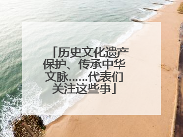 历史文化遗产保护、传承中华文脉……代表们关注这些事