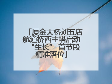 厦金大桥刘五店航道桥西主塔启动“生长” 首节段精准落位