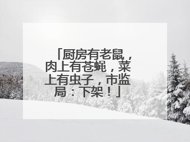 厨房有老鼠，肉上有苍蝇，菜上有虫子，市监局：下架！