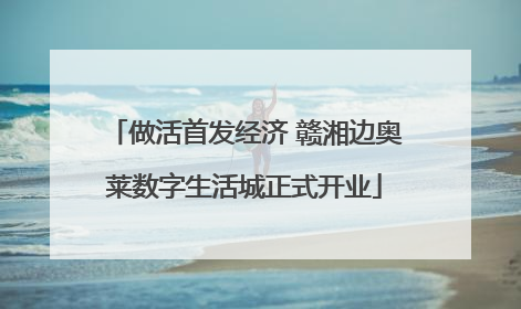做活首发经济 赣湘边奥莱数字生活城正式开业