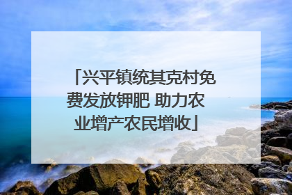 兴平镇统其克村免费发放钾肥 助力农业增产农民增收