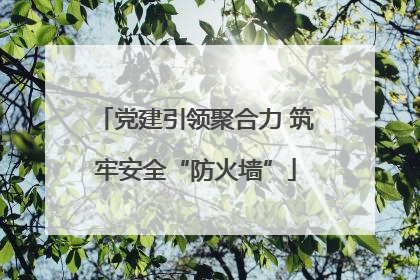 党建引领聚合力 筑牢安全“防火墙”