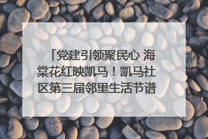 党建引领聚民心 海棠花红映凯马！凯马社区第三届邻里生活节谱写幸福新篇章