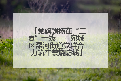 党旗飘扬在“三夏”一线——宛城区溧河街道党群合力筑牢禁烧防线
