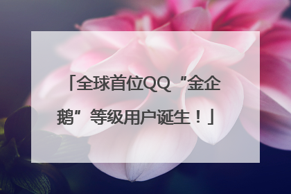 全球首位QQ“金企鹅”等级用户诞生！