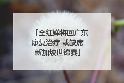 全红婵将回广东康复治疗 或缺席新加坡世锦赛