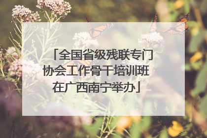 全国省级残联专门协会工作骨干培训班在广西南宁举办