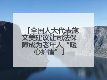 全国人大代表施文美建议让司法保障成为老年人“暖心护盾”