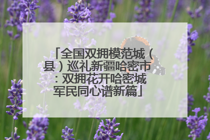 全国双拥模范城（县）巡礼新疆哈密市：双拥花开哈密城 军民同心谱新篇