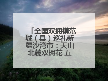 全国双拥模范城（县）巡礼新疆沙湾市：天山北麓双拥花 五届蝉联铸辉煌
