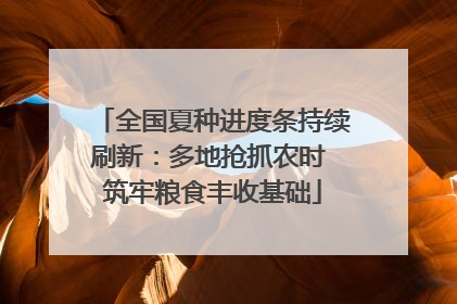 全国夏种进度条持续刷新：多地抢抓农时 筑牢粮食丰收基础