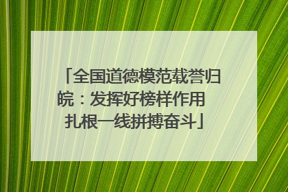 全国道德模范载誉归皖：发挥好榜样作用 扎根一线拼搏奋斗