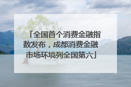 全国首个消费金融指数发布，成都消费金融市场环境列全国第六