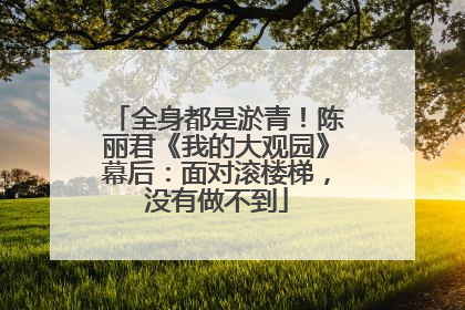 全身都是淤青！陈丽君《我的大观园》幕后：面对滚楼梯，没有做不到